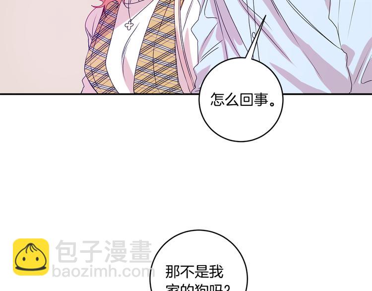 第5话 帮忙抓狗26