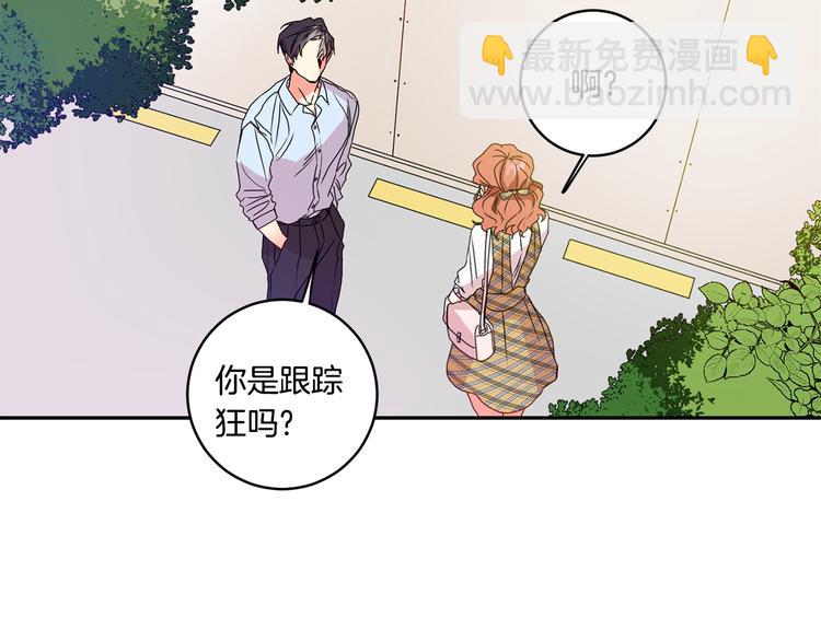 第5话 帮忙抓狗5