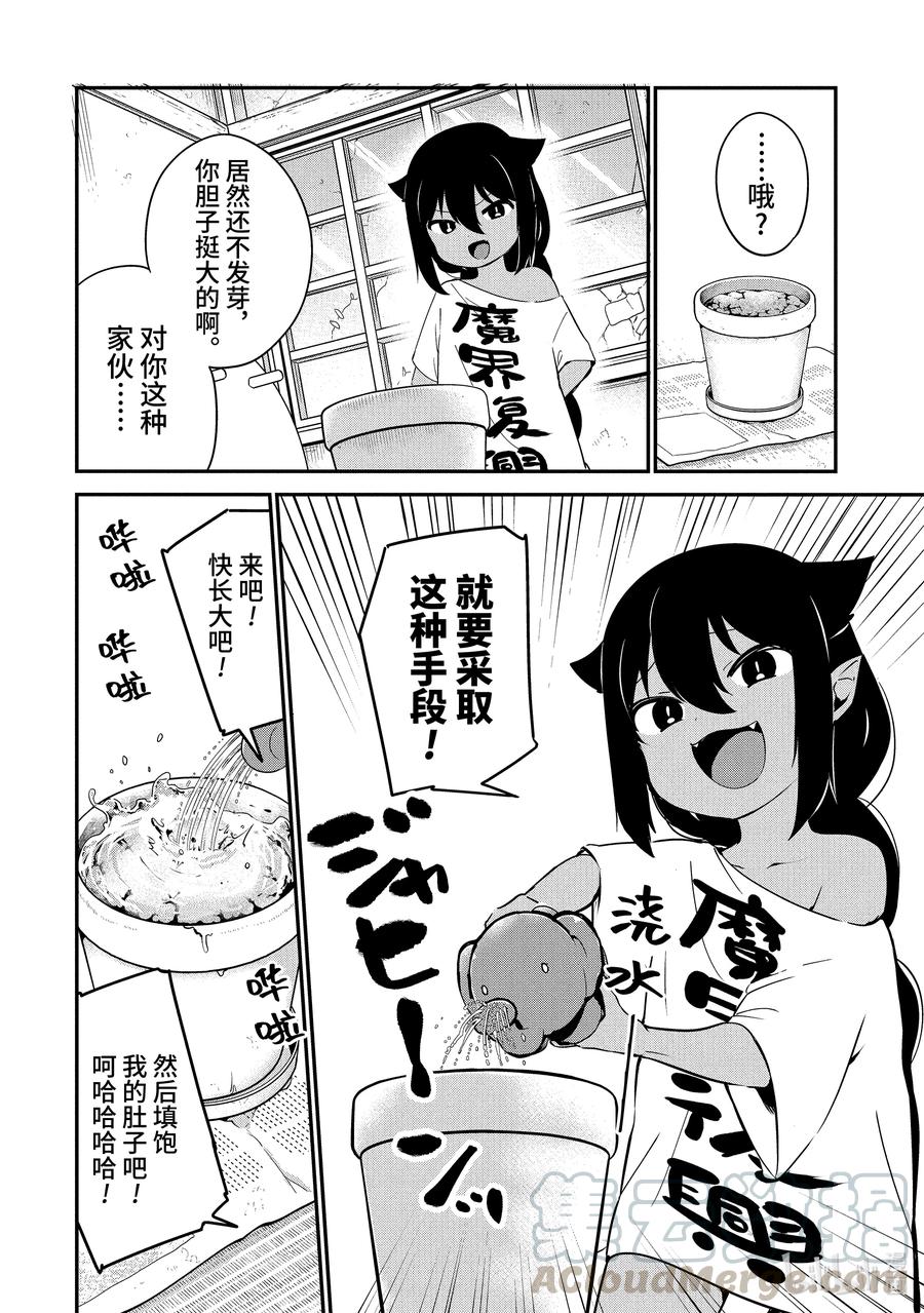 33 迦希大人与西红柿10