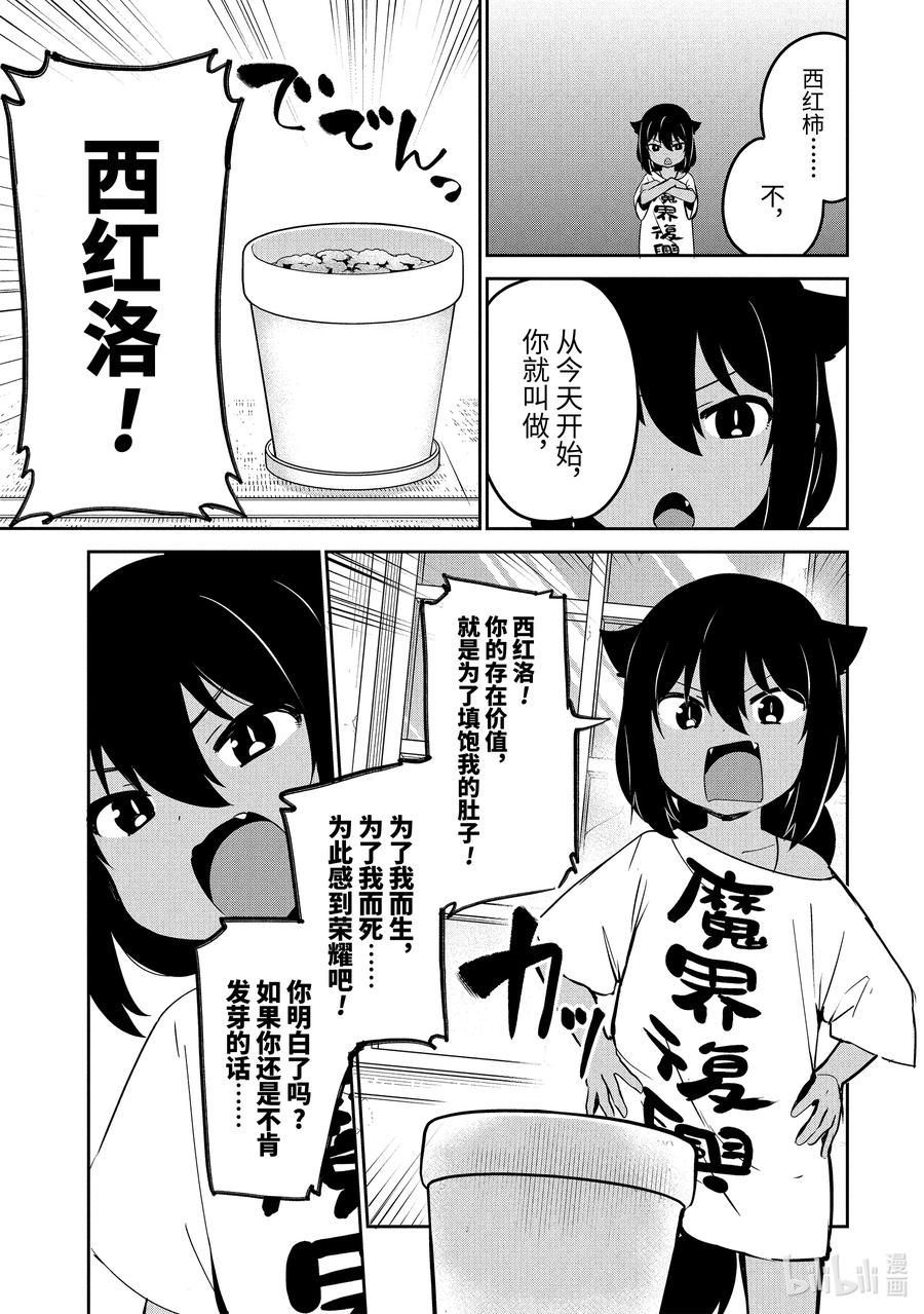 33 迦希大人与西红柿13