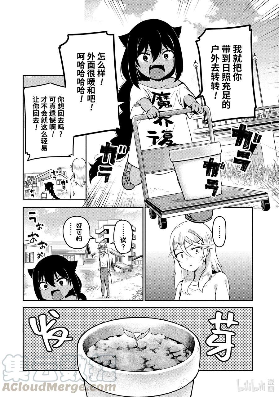 33 迦希大人与西红柿14