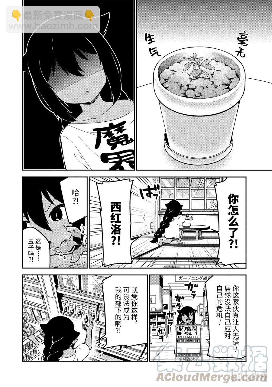 33 迦希大人与西红柿16