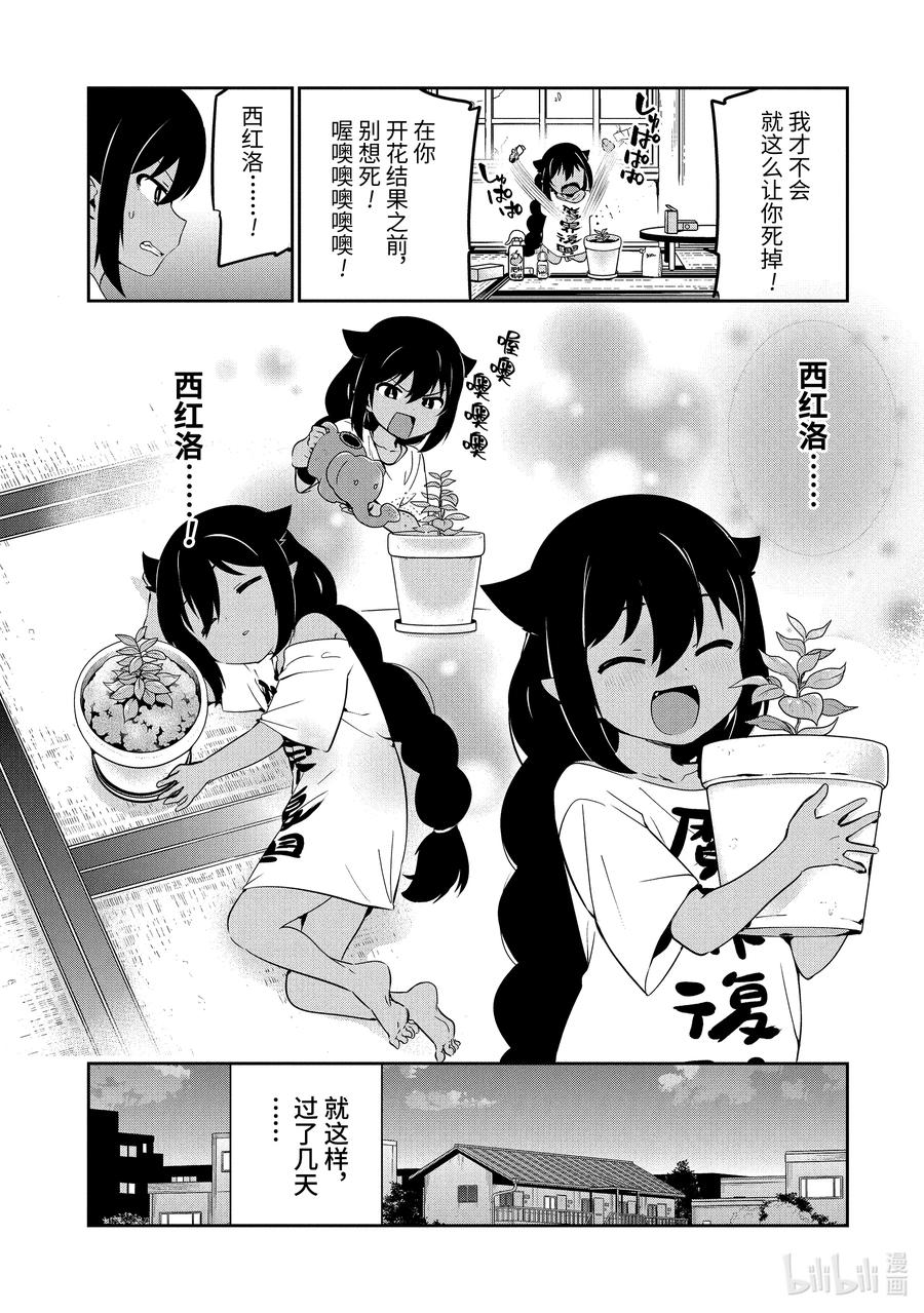 33 迦希大人与西红柿17