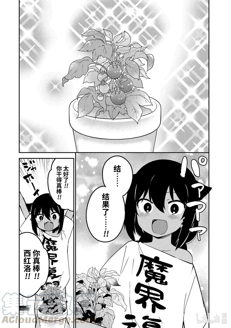 33 迦希大人与西红柿18