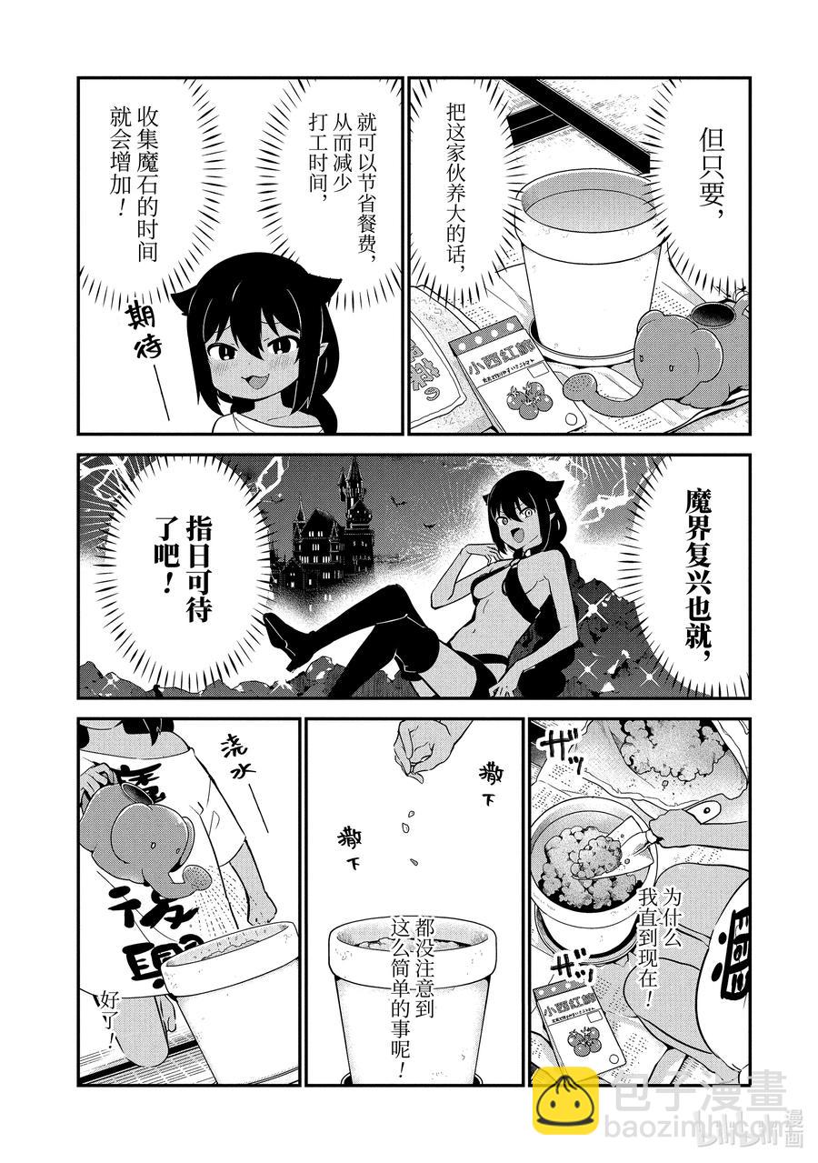 33 迦希大人与西红柿7