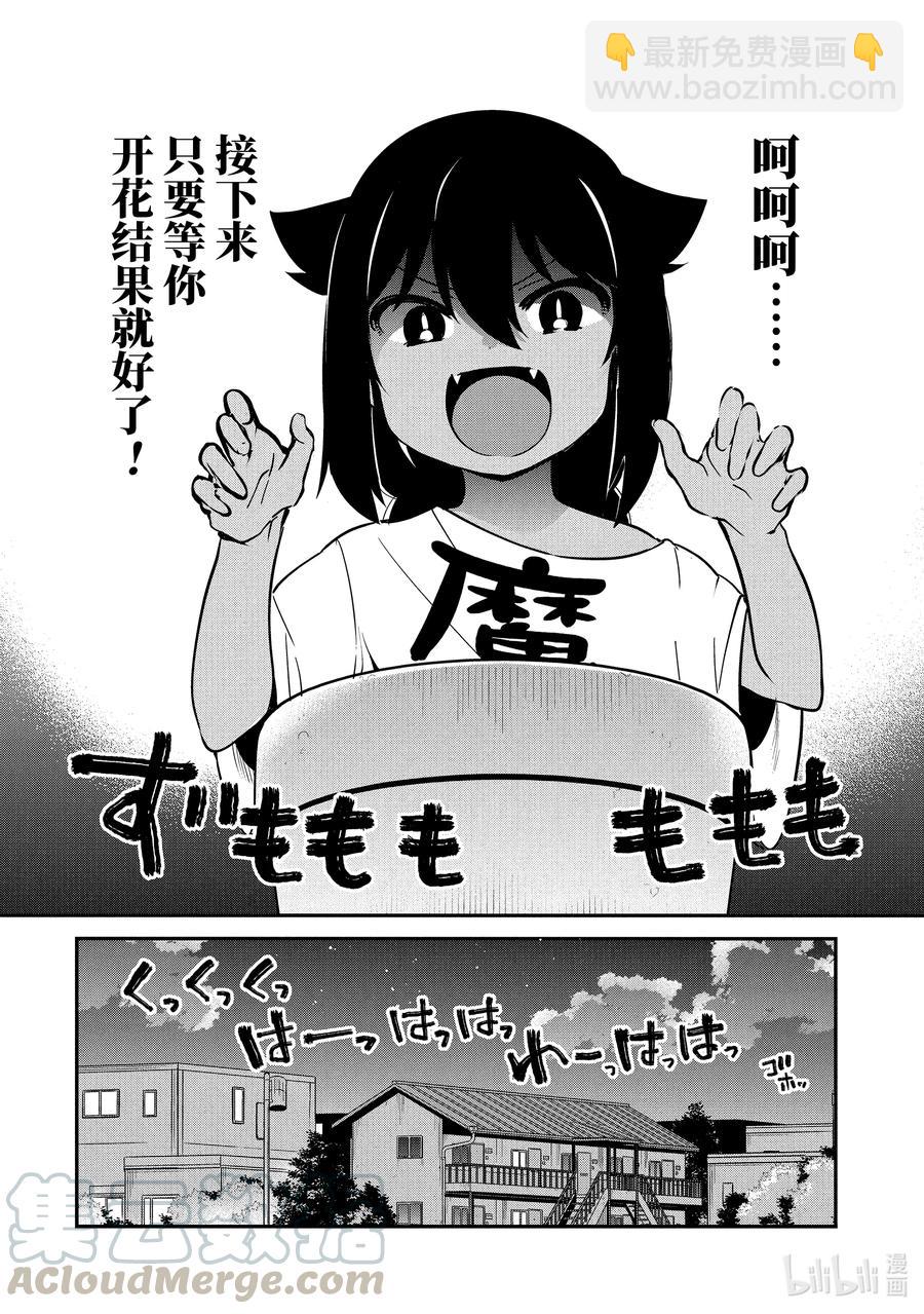 33 迦希大人与西红柿8