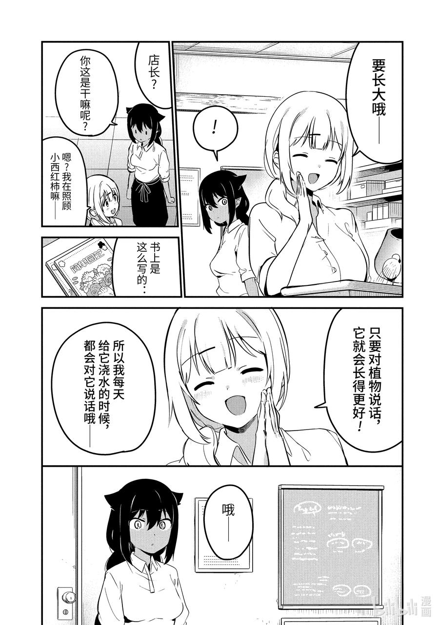 33 迦希大人与西红柿9