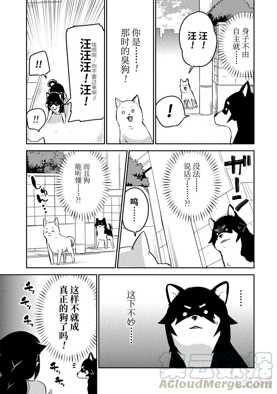 34 迦希大人与汪汪汪6