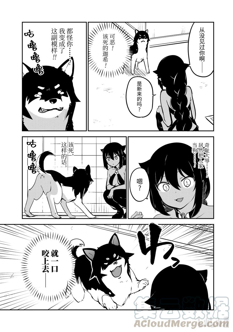 34 迦希大人与汪汪汪8