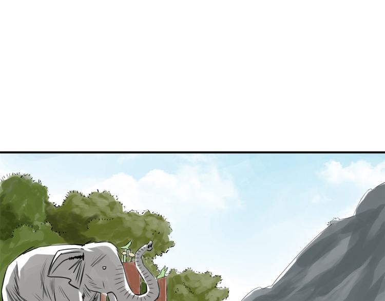 第11话 消失的动物（二）16
