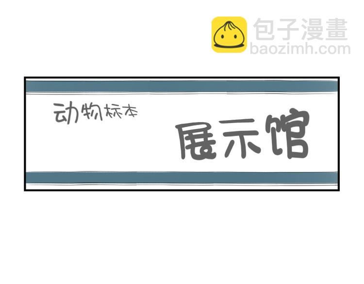 第11话 消失的动物（二）29