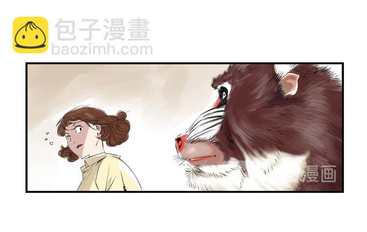 第11话 消失的动物（二）46