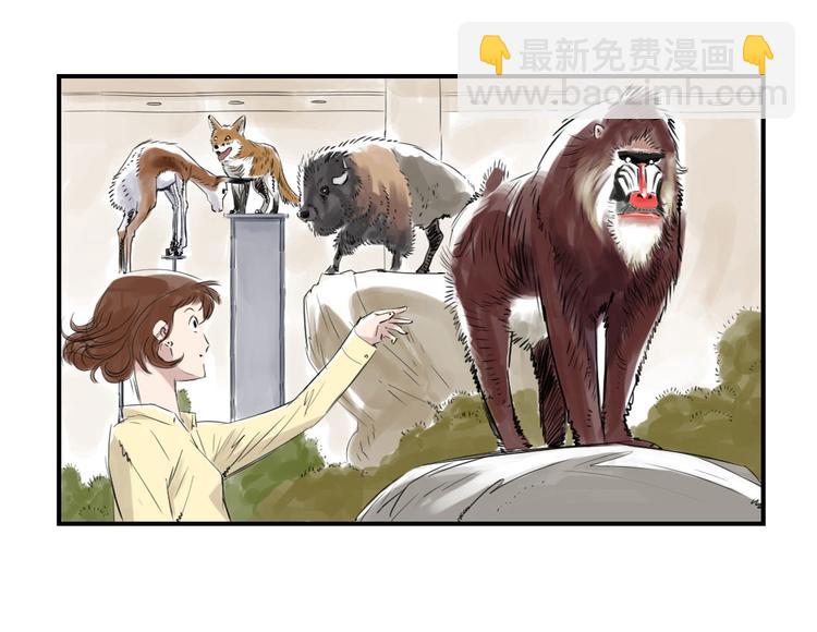 第11话 消失的动物（二）48