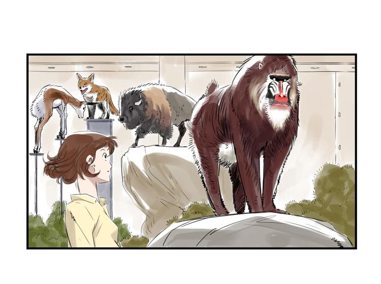 第11话 消失的动物（二）51