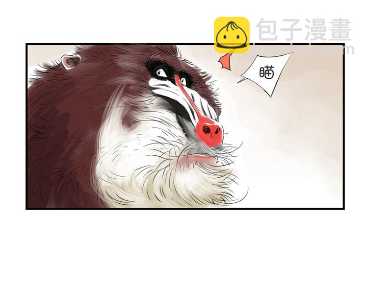 第11话 消失的动物（二）53