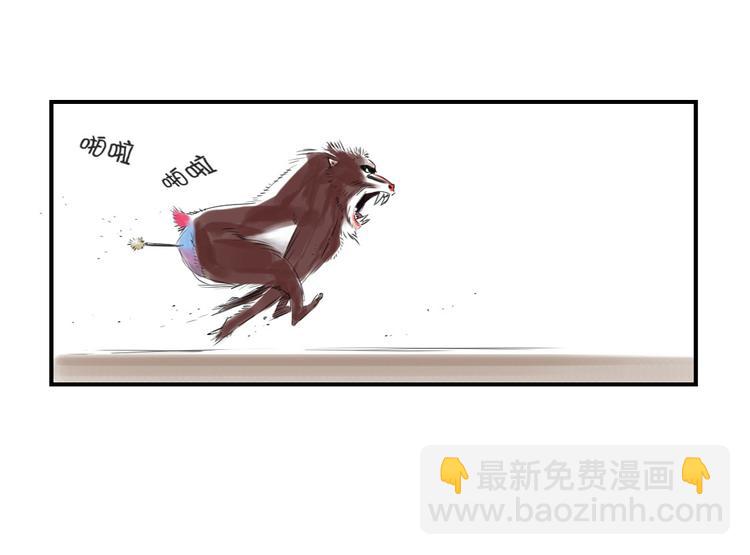 第11话 消失的动物（二）82