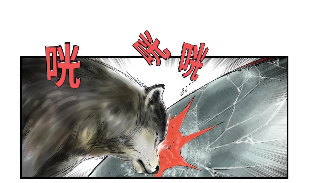 第35话 新兽种40