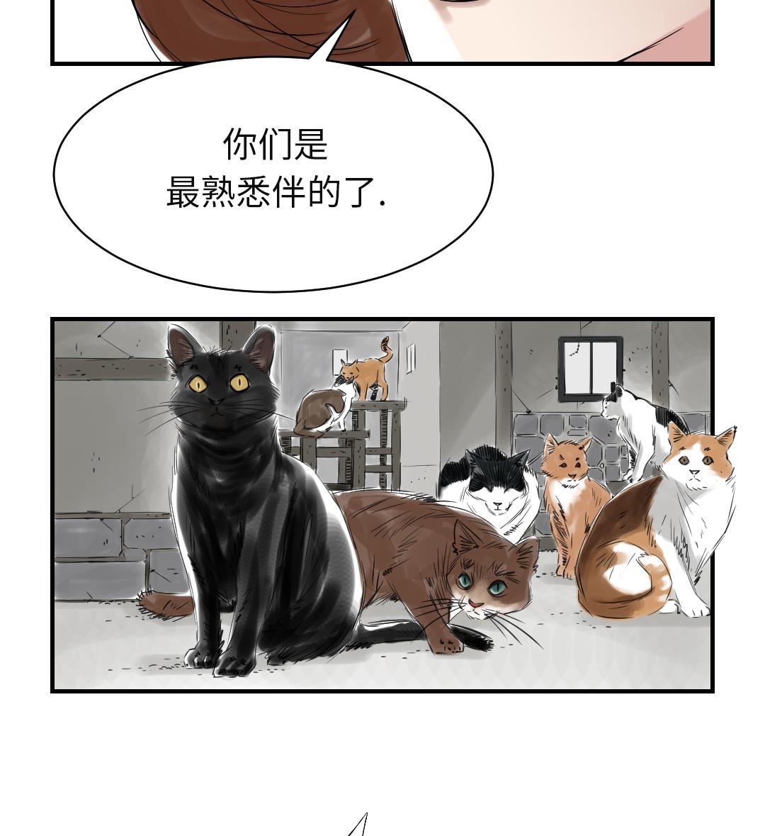 第78话 刺杀行动39