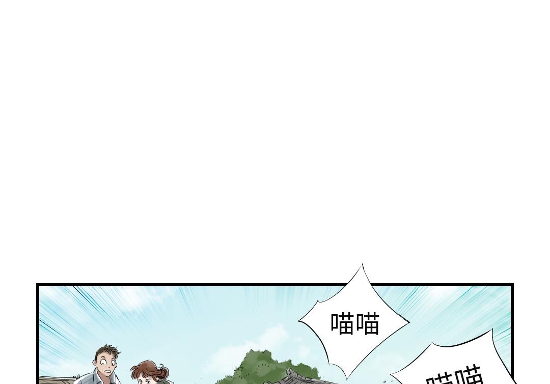 第78话 刺杀行动49