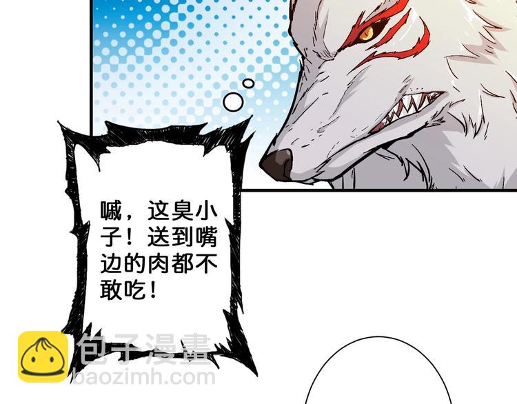 第48话 女神的闺房🐶89