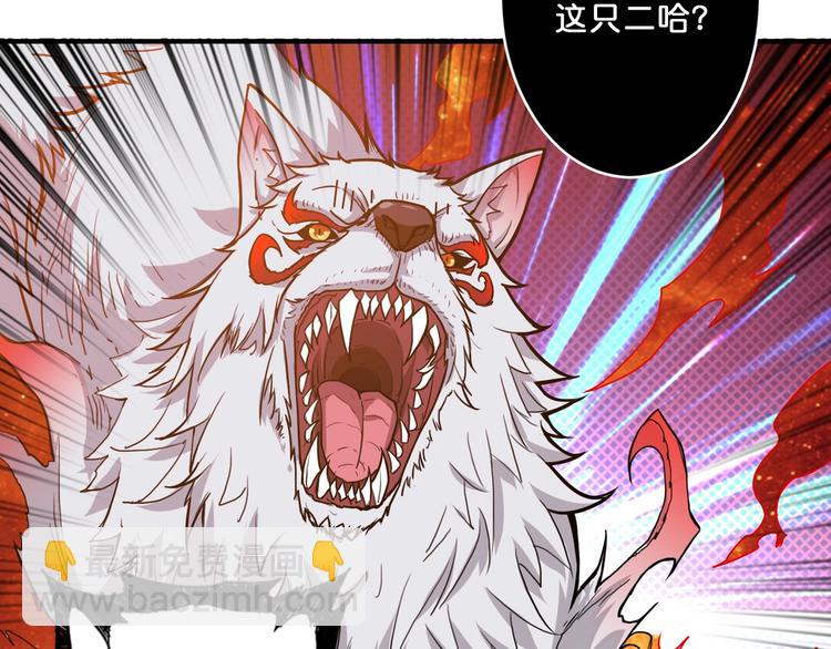 第60话 你的身世67