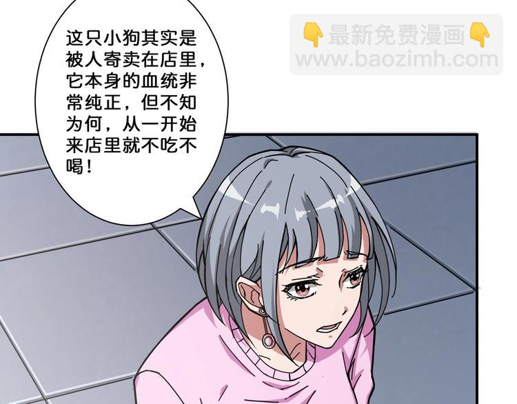 第66话 老祖62