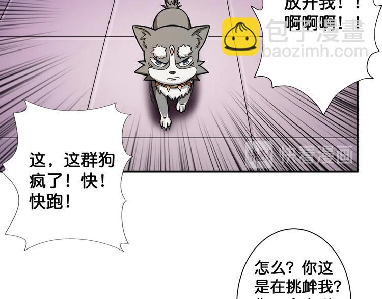 第102话 你想变强吗💥10