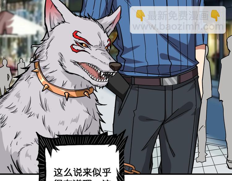 第144话 你家土地是偶像36