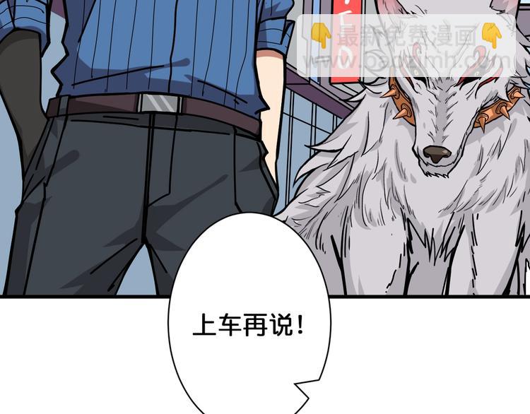 第144话 你家土地是偶像84