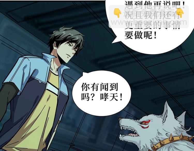 第171话 打脸我强项80