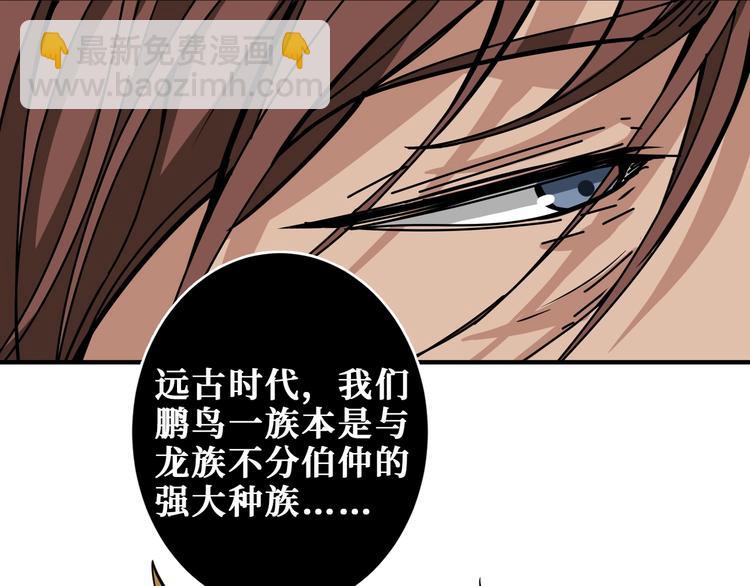 第202话 龙的踪迹71