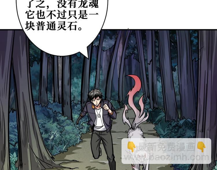 第204话 强者的博弈72