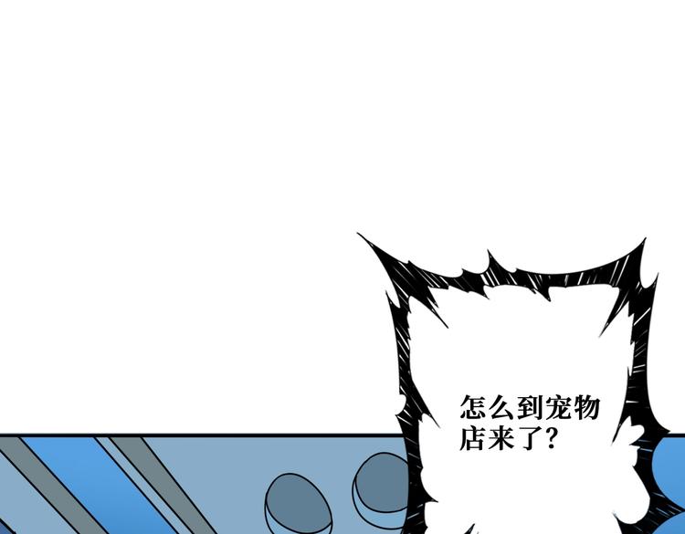 第226话 让我们来找点乐子吧0