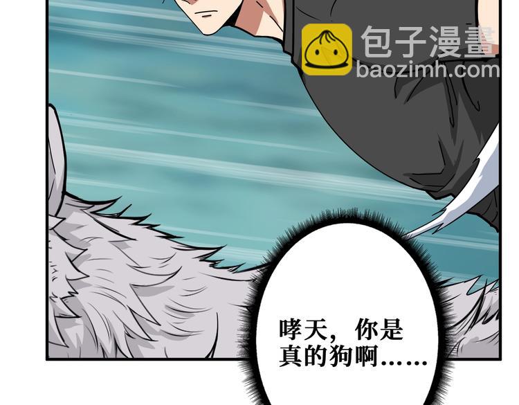 第238话 高手过招，招招有病106