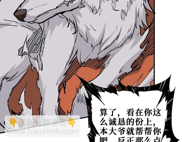 第253话 伙伴.24