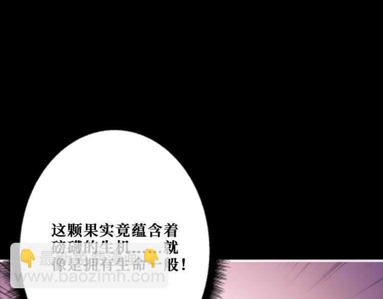 第262话 秘境过往42