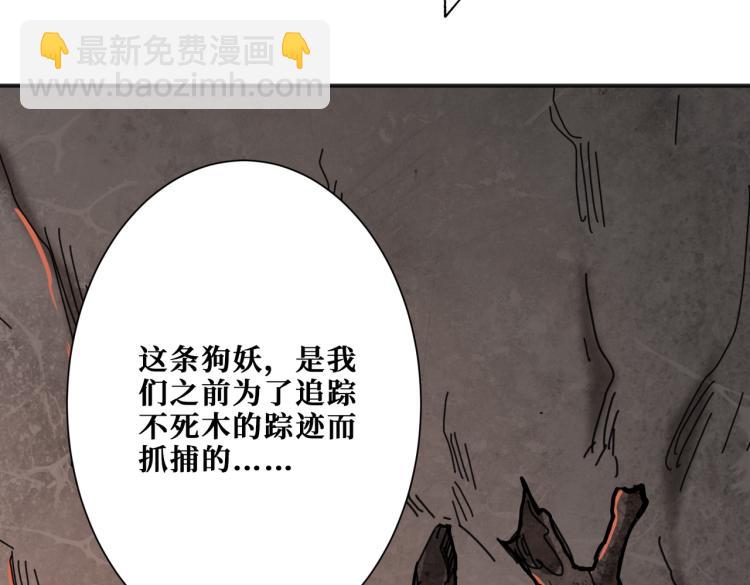 第265话 绝望之森151