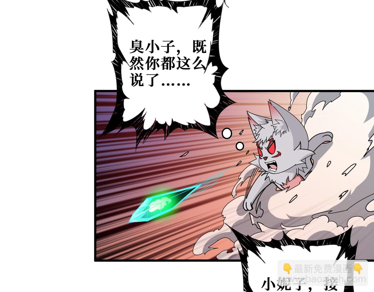 第404话 祈愿流星火18