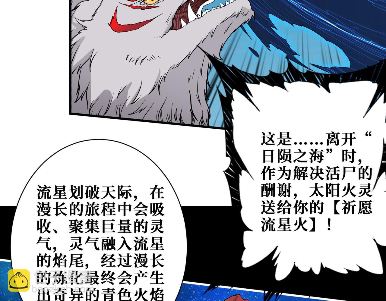第404话 祈愿流星火5