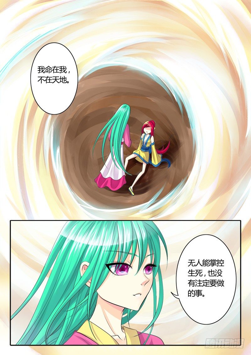 第120集 鸡飞蛋打5