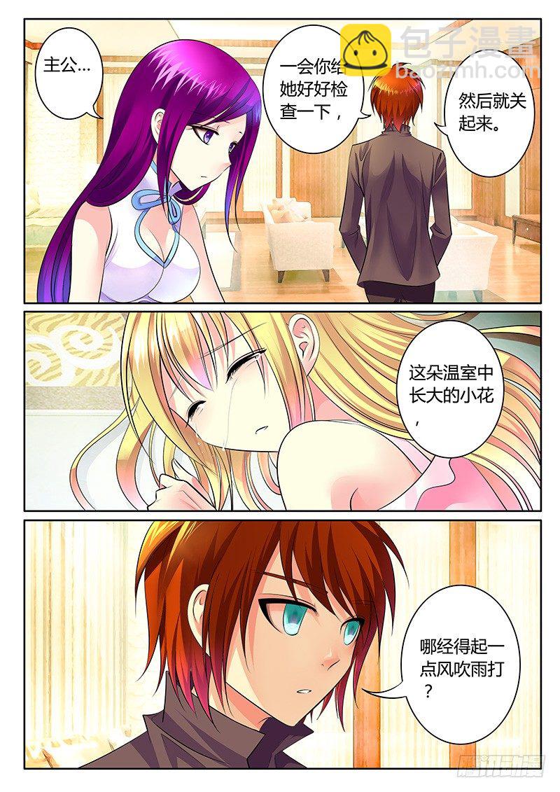 第277集 温室之花8
