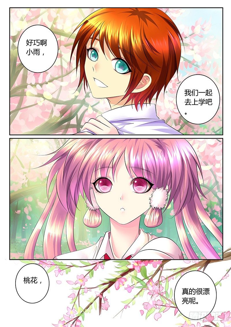 第343集 桃花易落6