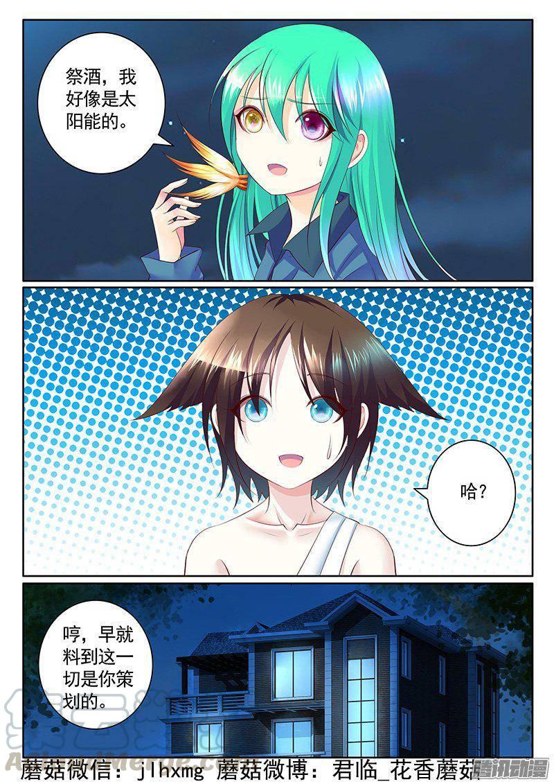 第408集 丕植上线0