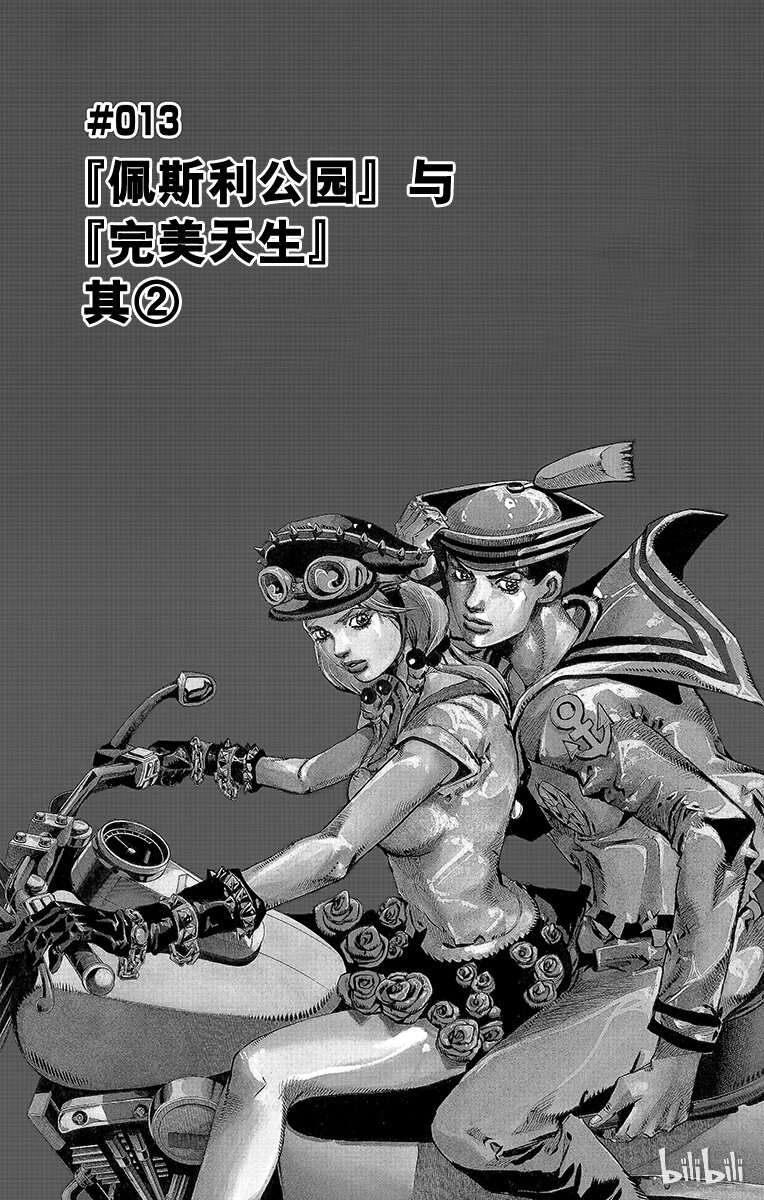 13 [佩斯利公园]与[完美天生] 其20