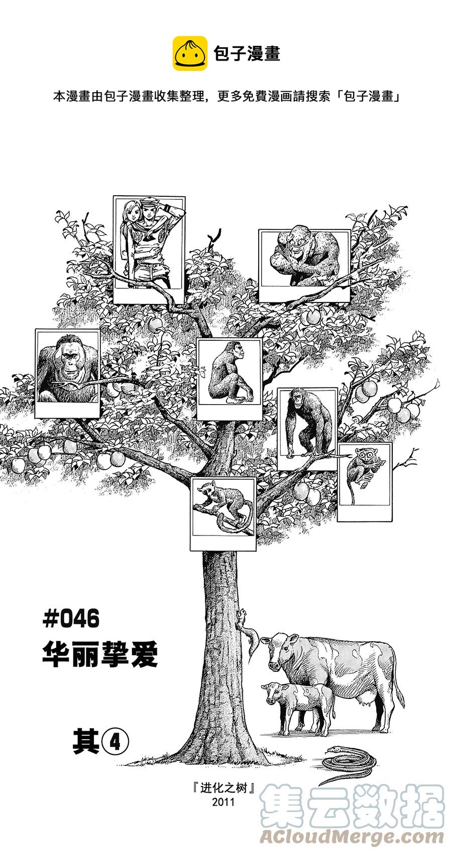 46 华丽挚爱  其40