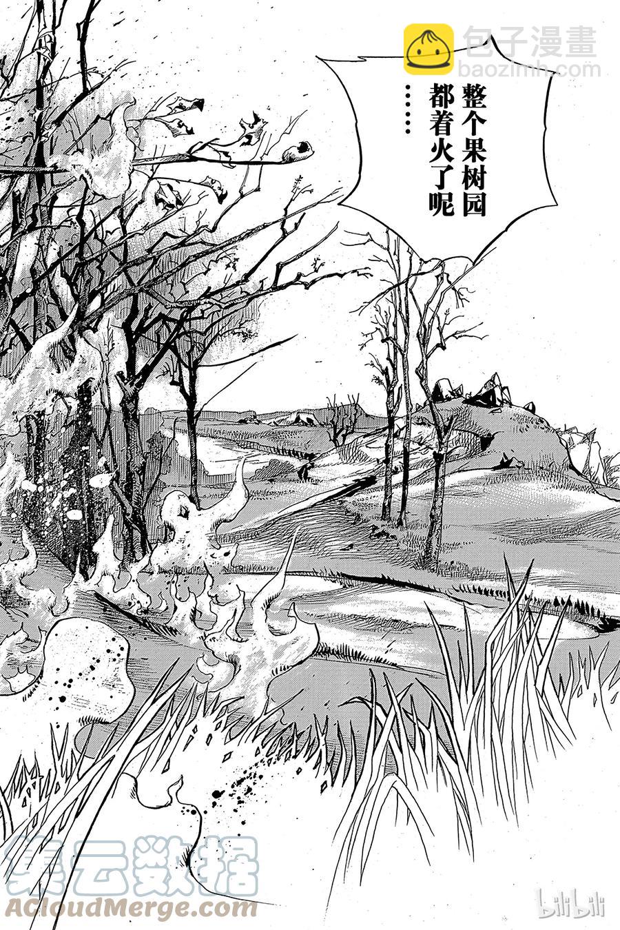 74 臭氧宝贝的加压  其221