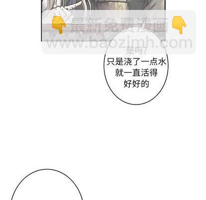 第114话80