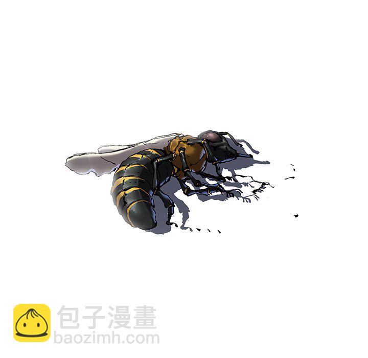 第 142 话14