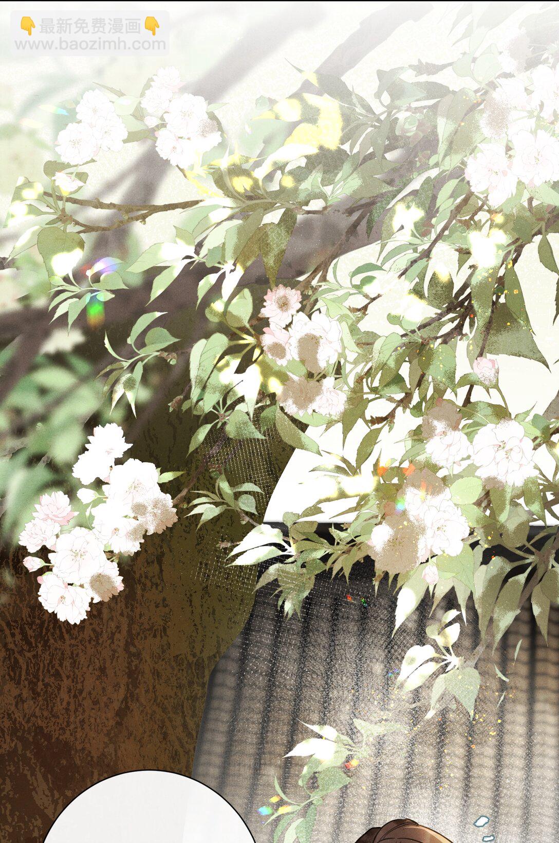 055 这家伙，不正常！！！25