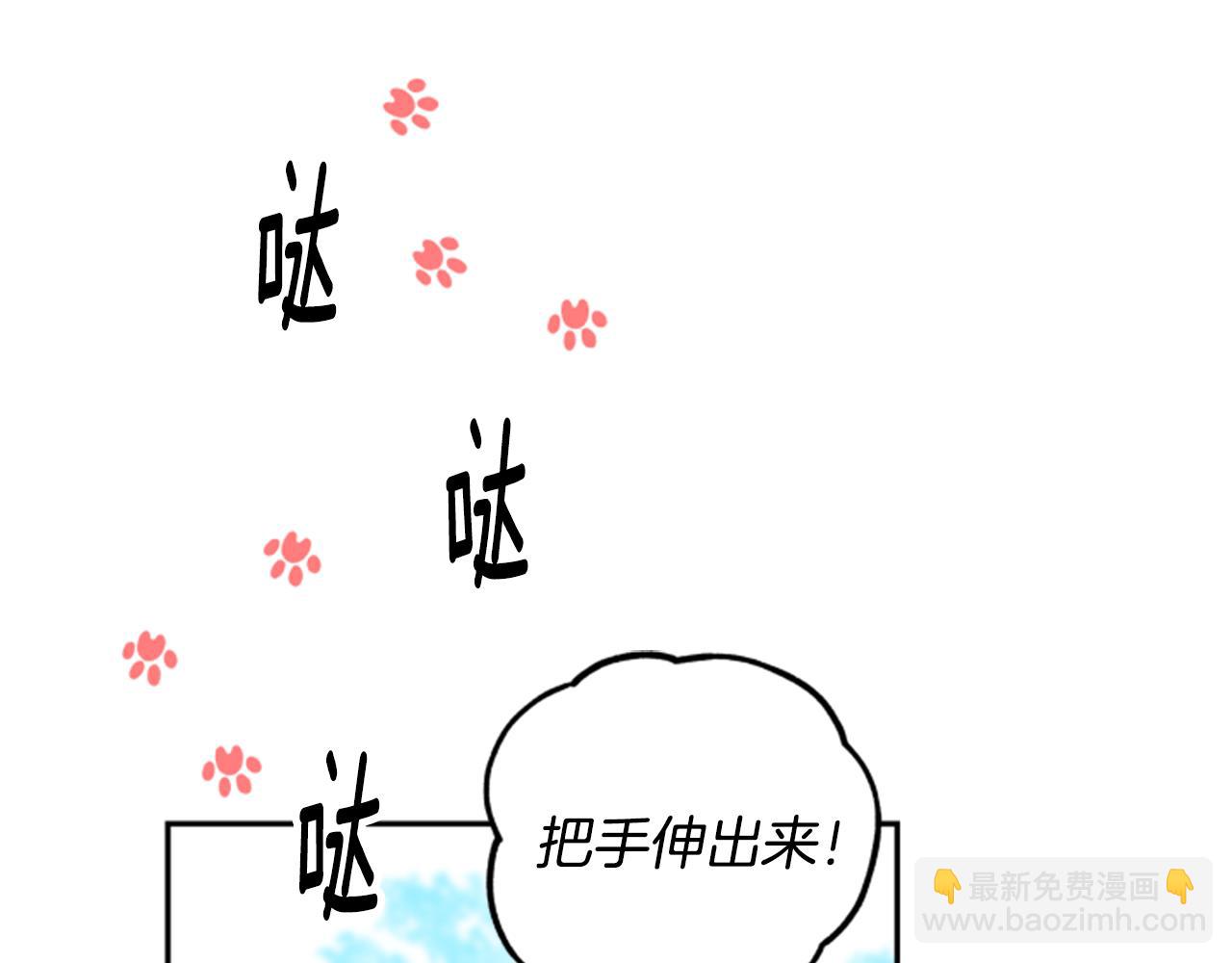第54话 猫咪朋友35